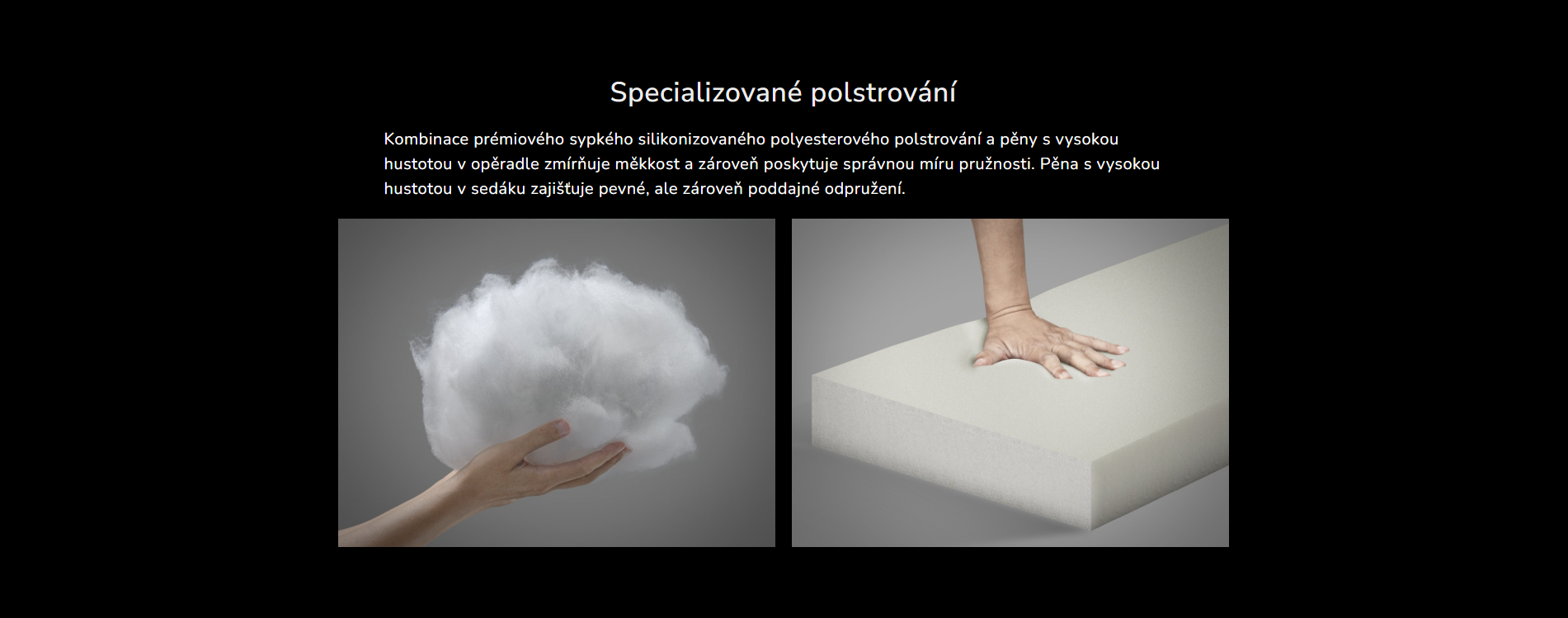 Snímek obrazovky 2026-03-10 152526